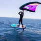 Fanatic Stingray LTD Wind / Wing Foil 2021 DEMO